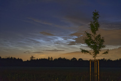 22:50 Uhr Haar 24mm an Vollformat