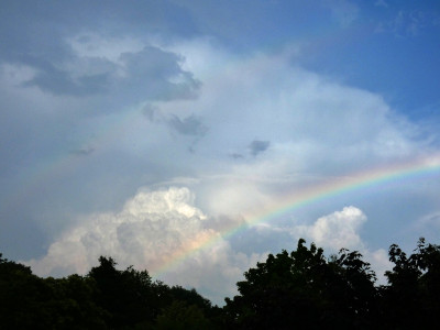 64 Regenbogen Cb 20210628.jpg