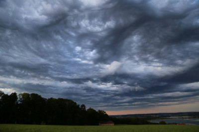 asperatus-20210706-c.jpg