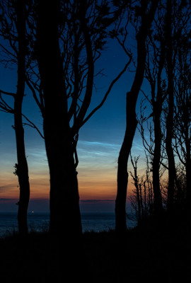 12.07.2021, 23:30 MESZ - Leuchtende Nachtwolken (Helligkeit 3), künstlerische Darstellung (50mm, KB)