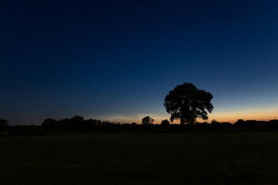 31.07.2021, 04:12 MESZ - Übersichtsaufnahme der Leuchtenden Nachtwolken am Sternenhimmel (24mm, KB)