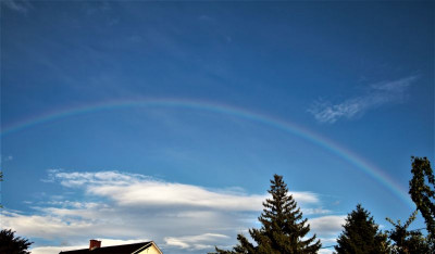 Regenbogen-1-Forum.jpg