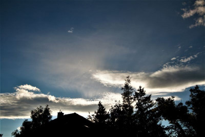 Virga-Gegenseite-1-Forum.jpg