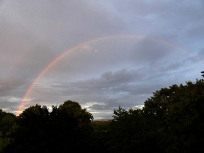 81 Regenbogen 20210806a.jpg