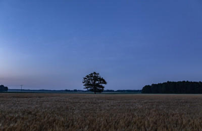 02.07.2021, 22:40 MESZ: Erste hochreichende Leuchtende Nachtwolken (Helligkeit 1) in NNO (24mm, KB)