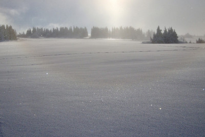 Schneedeckenhalo