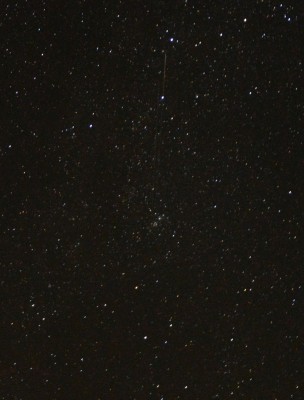 DSC_2042_kl.jpg