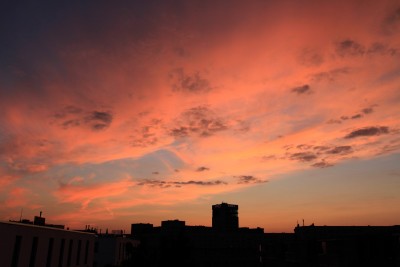_MG_4275.jpg