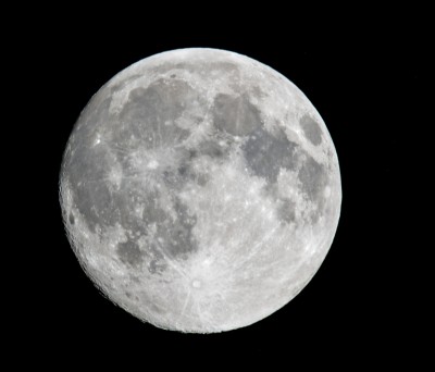 DSC_8081-3f.jpg
