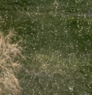 100 % Bildausschnitt