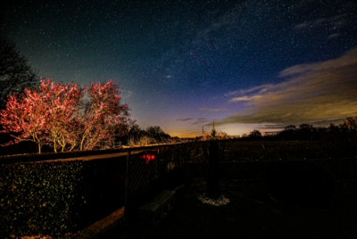 Geesthacht 02.04.2022.JPG