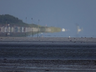 Föhr<br />Aufgenommen auf der Amrumer Odde am 13.06.2022 um 18:36 MESZ.