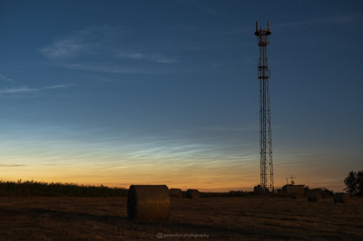 NLC14062022a.jpg