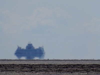 Mutterschiff<br />Aufgenommen auf der Amrumer Odde am 16.06.2022 um 11:38 MESZ.