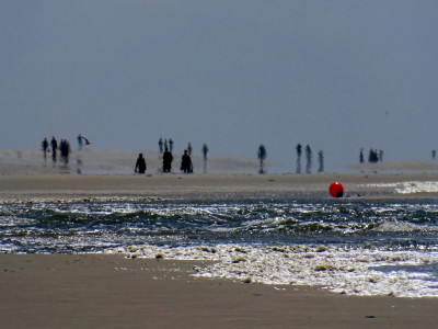 Schwarz &amp; Rot<br />Aufgenommen am Nebeler Strand (Amrum) am 18.06.2022 um 12:28 MESZ.