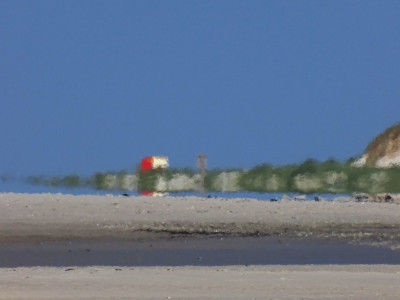 Vordünen<br />Aufgenommen am Nebeler Strand (Amrum) am 18.06.2022 um 12:34 MESZ.