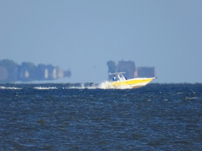 Speed<br />Aufgenommen am 03.06.2022, 19:08 MESZ, am Strand von Nieblum (Föhr).