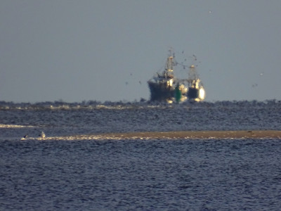 Meeresgold<br />Aufgenommen am Norddorfer Strand (Amrum) am 15.06.2022 um 21:04 MESZ.