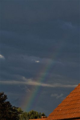 Regenbogen li.jpg
