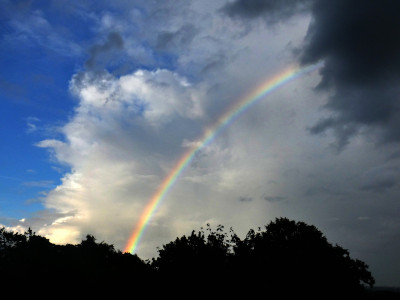 63 Regenbogen 2 20220731b.jpg