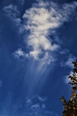 Sterbeprozess einer Wolke.jpg