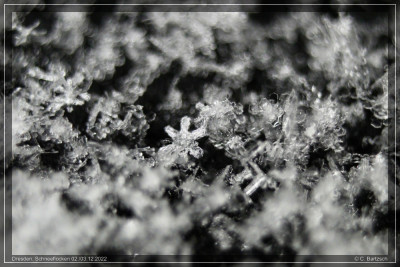 Schneeflockenbilder_02-12-2022_1.jpg
