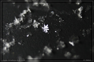 Schneeflockenbilder_02-12-2022_2.jpg