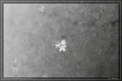 Schneeflockenbilder_02-12-2022_3.jpg