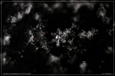 Schneeflockenbilder_02-12-2022_4.jpg