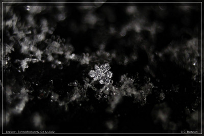 Schneeflockenbilder_02-12-2022_5.jpg