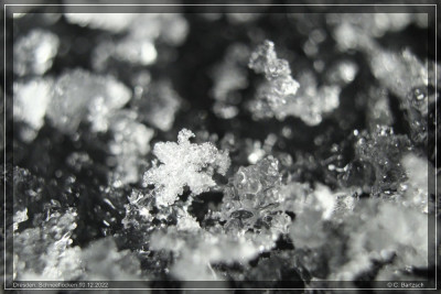 Schneeflockenbilder_10-12-2022_2.jpg