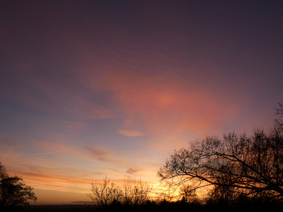 103 Csun OB 20221230.jpg