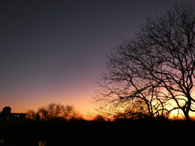 4 Purpurlicht 20230207.jpg