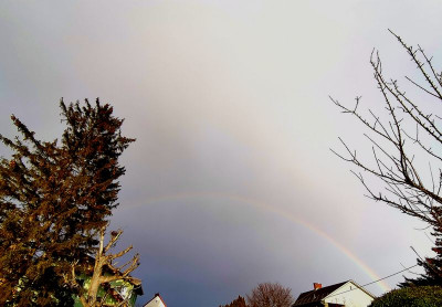 first rainbow this year23.jpg