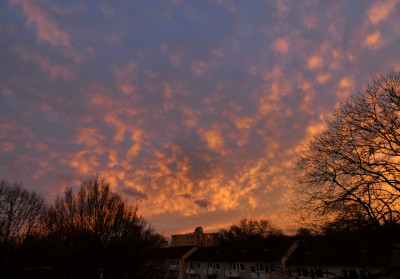 7 Mammatus gelb 20230313.jpg