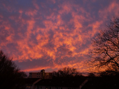 10 Zerfetztes Abendrot 20230313.jpg