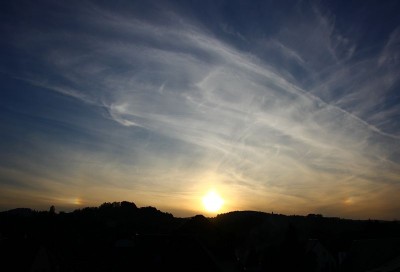 IMG_7524.jpg