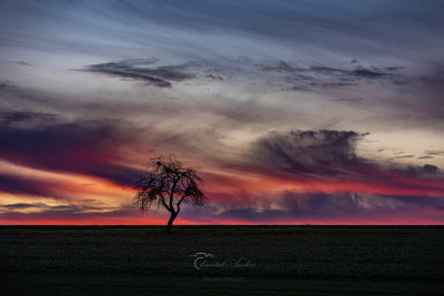 ca 5 Minuten später