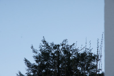 19:24 MESZ – Gesamtsituation