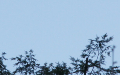 19:24 MESZ – Ausschnitt in Originalgröße mit Sirius genau in der Mitte