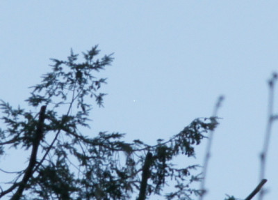 19:33 MESZ – Ausschnitt in Originalgröße mit Sirius genau in der Mitte