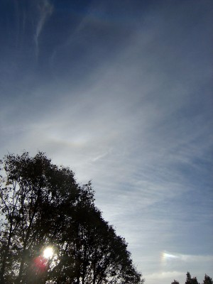 115 NSreOBBZZB20151026klein.jpg