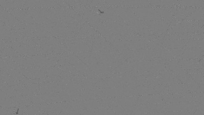 v_20230430_013258-020257_utc_0545_vx_50_pfeile.jpg