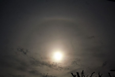 Halo-02.05.23-vm.jpg