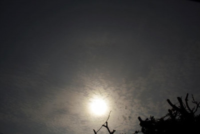 Halo020523-2.jpg