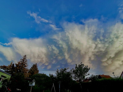 mamatus1.jpg