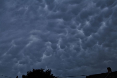 mamatus.jpg