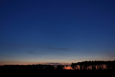 NLC_2023_07_21_0328.jpg