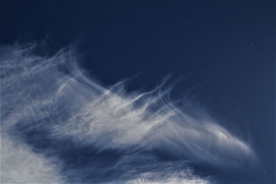 Cirrus fibratus.jpg