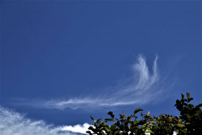 Cirrus uncinus.jpg